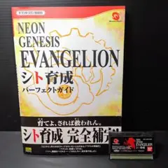 ワンダースワン　エヴァンゲリオン　シト育成　ソフト攻略本セット【初版】