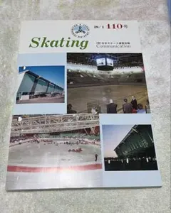 Skating 110号