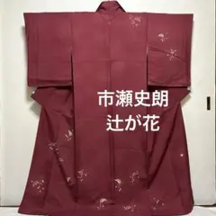 訪問着【市瀬史朗】辻が花 正絹 藤文様 赤色 袷着物 一つ紋 作家物
