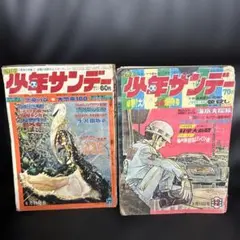 2025年最新】少年サンデー1971年の人気アイテム - メルカリ