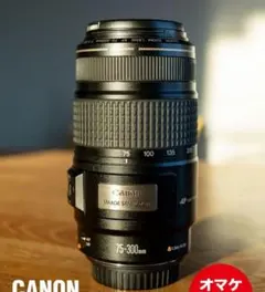 2026年最新】EF 75-300mm F4-5.6 is usmの人気アイテム - メルカリ