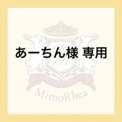 あーちん様 専用★速達★