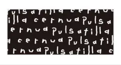 2026年最新】清水翔太 タオルの人気アイテム - メルカリ