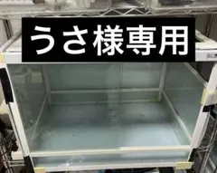 2026年最新】パンテオン6045の人気アイテム - メルカリ