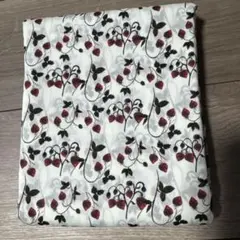 Item thumbnail for item ecdabf76-cabe-4ea3-b4ca-cbab16155876