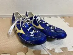 Item thumbnail for item 679683b1-3c60-4d78-bc55-117dd33e3844