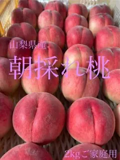 【山梨県産】朝採れ桃／浅間白桃／2kg B品／自分へのご褒美にぜひ！④のサムネイル