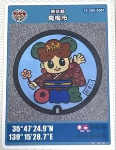 Item thumbnail for item 94fedb85-1dfb-4005-8344-d6d4bd55d59c