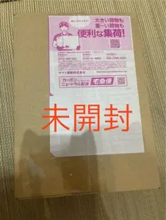 【未開封】ハイクラスパック MEGAドリームex シュリンク付き