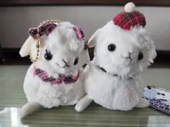 Item thumbnail for item 2167a0aa-89ff-49e2-8e33-8bc1c2a51b19