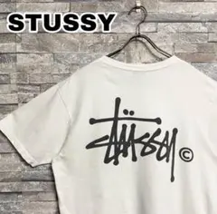 【STUSSY】デカロゴバックプリント/90's黒タグTシャツ/ホワイトオールド
