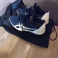 ASICSGOLDSTAGEファング26センチ