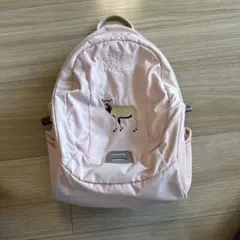 THE NORTH FACE ノースフェイス キッズ リュック 8L