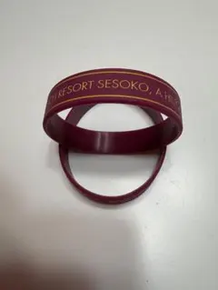 ### BEACH RESORT SESOKO リストバンド