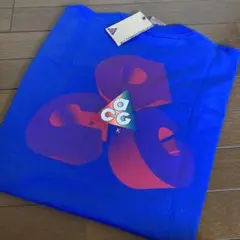 ACG NIKE グラフィックTシャツ 青
