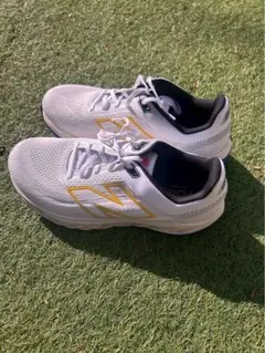 New Balance Fresh Foam X 860 v14 28.5cm