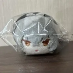 あんスタ 大神晃牙 もちマスミニ