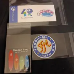 Item thumbnail for item 102157a1-9c43-458b-aa6c-693774460d94