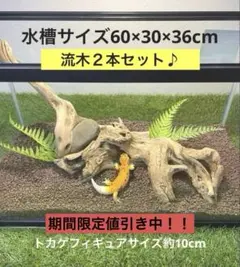 Item thumbnail for item 5c98e3be-9057-4ea5-a114-ed0257d2a146