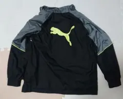 Item thumbnail for item 19c49e8c-01b9-4632-9d7f-816a72e2b218