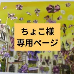 ちょこ様専用ページ