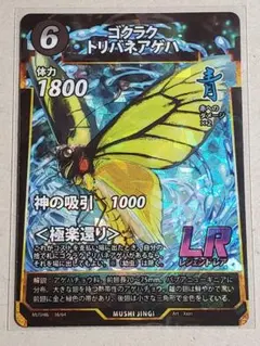 ゴクラクトリバネアゲハ