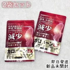 2袋セット 未開封 カロバーンEX ダイエットサプリ αリポ酸 BMI値改善のサムネイル