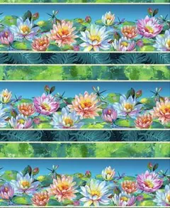 輸入生地 Water Lilies ボーダー