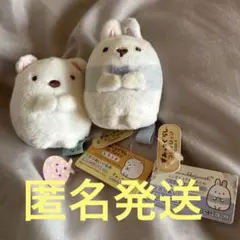すみっコぐらし　てのりぬいぐるみ　うさぎマイスター　しろくま　セット