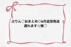 ♡ ぷりん♡おまとめ◎6月返信発送遅れます☆様♡ - メルカリ