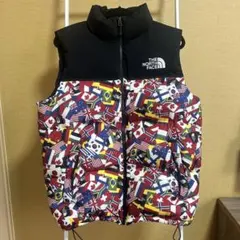 THE NORTH FACE 国旗柄 ダウンベスト Lサイズ