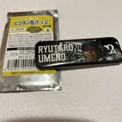 阪神タイガース　シークレット　ビジョン缶バッジ 梅野隆太郎選手