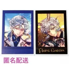 あくねこ フルーレ ぱしゃこれ