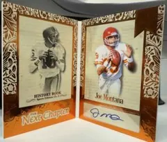 Item thumbnail for item 08c5c939-ab22-4a66-b56a-9fd506f3a199