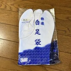 Item thumbnail for item 101fe2c8-cab4-4a30-9732-3c3f95e3da02