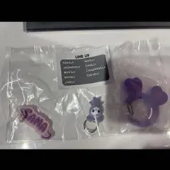 TWICE LOVELYS アクリルカラビナフロッキーマスコット　サナ