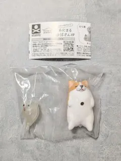 未開封 あにまる幽体さんぽ こぎたま コーギー