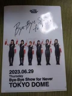 直筆サイン入 BiSH Bye-Bye Show for Never ポスター 直筆サイン入】BiSH Bye-Bye Show for Never ポスター - メルカリ