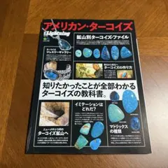 希少本】別冊Lightning アメリカン・ターコイズ 新品未読品 激レア