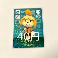 amiiboカード しずえ 113