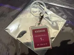 KIOXIA めじるしチャーム TGS