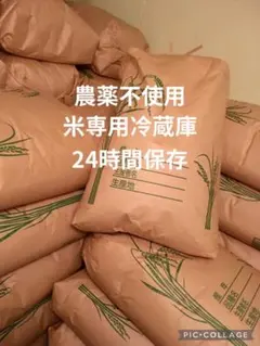 にこまる 5kg 農薬不使用 国産玄米 農家直送 単一品種 専用冷蔵庫のサムネイル