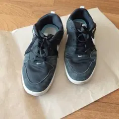 Nike SB alleyoop スケートボード　黒 スニーカー　26.5