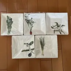 Noritake 京香旬彩 15cm スクエアプレート 5枚セットのサムネイル