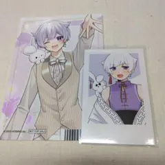 いれいす 初兎 アニメイト 3周年 ブロマイド チェキ