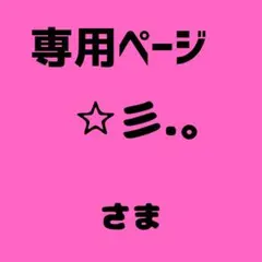 ☆彡.。様　専用ページ