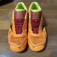 ミズノ　バレーボールシューズ ヒノトリ　ロイヤルフェニックス　オレンジ　25cmのサムネイル