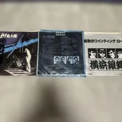 ロックンロール高校 横浜銀蝿 1981年