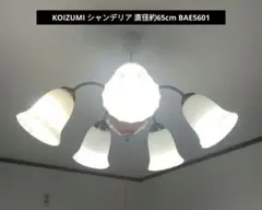 Item thumbnail for item 77761fb9-e2ef-4966-acb2-349d1a75f812