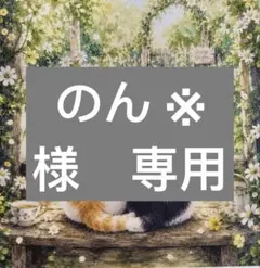 のん ※プロフ必読様　専用